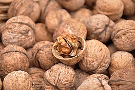 核桃,秋季,水果