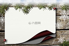 公告板,冬青樹(shù),紙