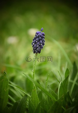 性質(zhì),廠,戶外活動