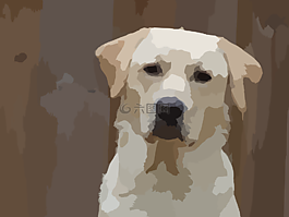 狗,小狗,動物