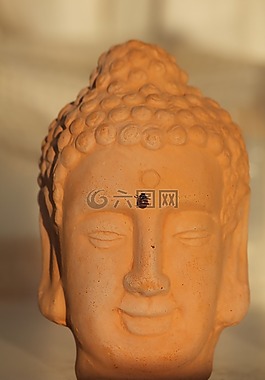佛,瓢蟲,日落