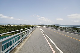 路,橋,夏天