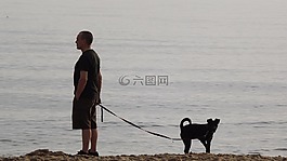 男子,男性,小狗