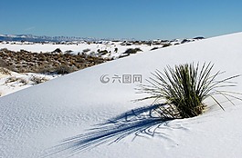 沙,白,景區(qū)