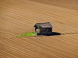 小屋,棄,木