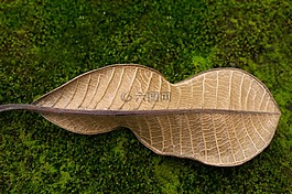 干葉,綠色瓷,moss綠色