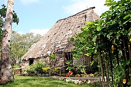 夏威夷,小屋,熱帶