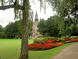 公園,鮮花,紅色