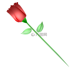 玫瑰,紅色,花