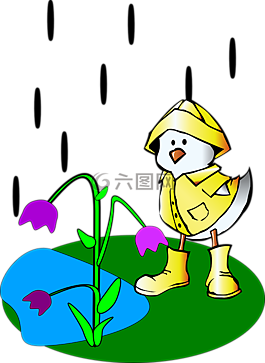 雨,戶外,鴨