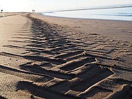 海灘,夏季,背景