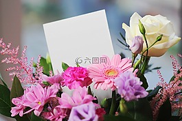 facebook,消息,空白