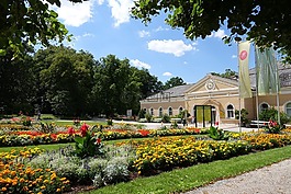 公园,kurpark,花园