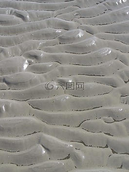 北海,瓦登海,沙