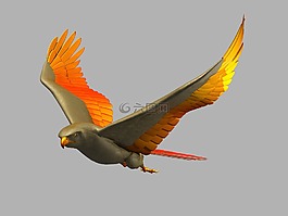 鳥,飛行,翅膀