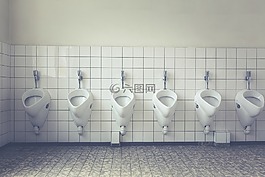 廁所,公共廁所,機艙廁所