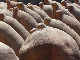 船只,瓶,聲音