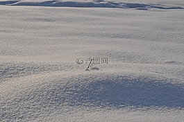 冬季,雪,斯诺德里夫特