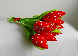 郁金香,花束,女人