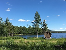 瑞典,midsommar,自然