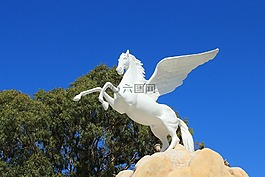 飞马座,rodos,马