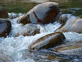 水,水域,石