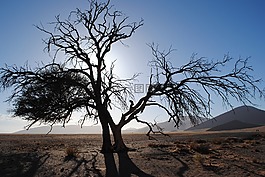 非洲,納米比亞,sossusvlei