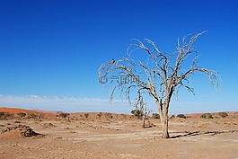 納米比亞,非洲,sossusvlei