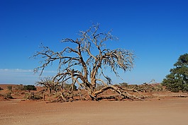 納米比亞,非洲,sossusvlei