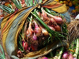 洋蔥,韭菜,蔬菜