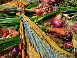 洋蔥,韭菜,蔬菜