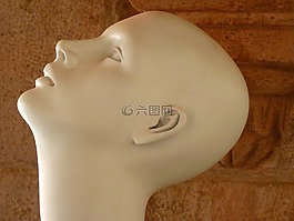 頭,面對,光頭