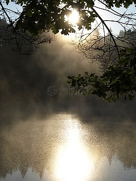 池塘,表面,湖