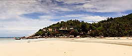 海灘,沙,夏