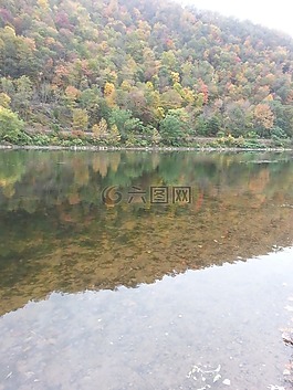 河,景觀,自然