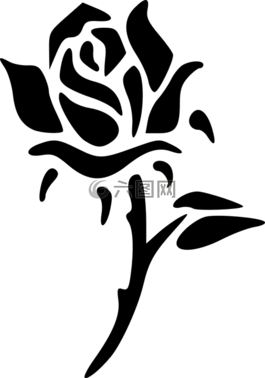 玫瑰,花,侧影
