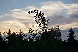 晚上,心情,黃昏