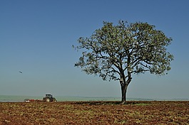 農(nóng)業(yè),拖拉機,字段