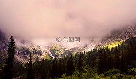 景觀,日出,上午