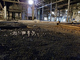工廠,大廳,廠區(qū)建設(shè)