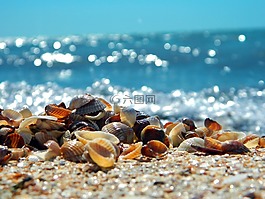海,夏季,沖浪