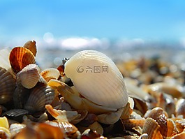 海,夏季,海灘