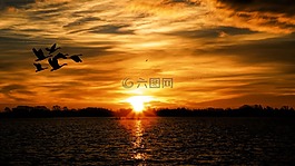 日落,景觀,湖
