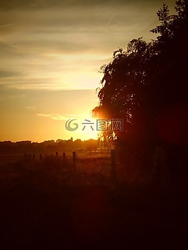 太陽,日落,性質(zhì)