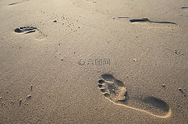 砂,海灘,腳