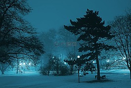 公園,夜,冬季