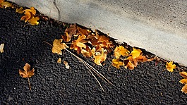 葉子,柏油路,遏制