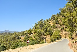 路,森林,農(nóng)村