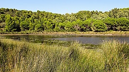 希腊,tsougkria,岛