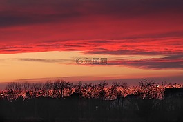 日落,紅色,街